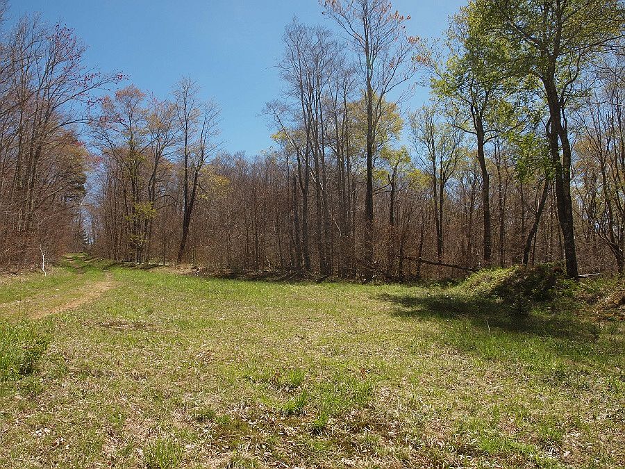 2nd image of 000 Allegheny Mtn #Sgr804