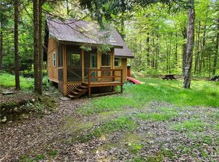 303 Uncas Rd, Inlet, NY 13360