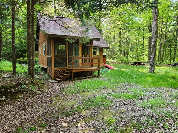 303 Uncas Rd, Inlet, NY 13360