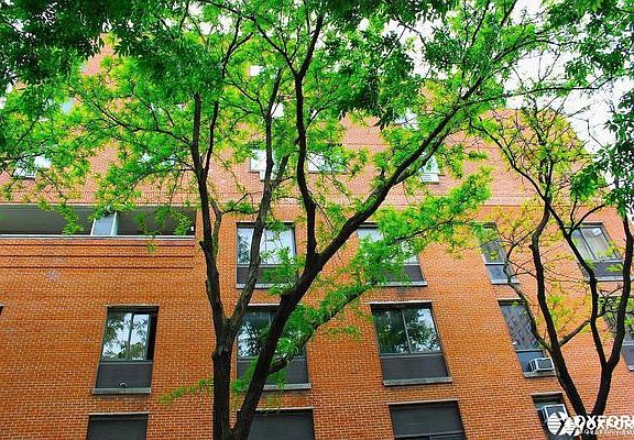 5th image of 270 W 22nd St #Loft4