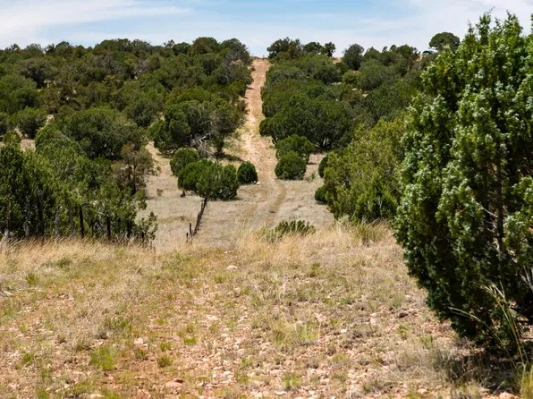000-D Wooden Ear Rach Rd Lot D -- #50, Seligman, AZ 86337