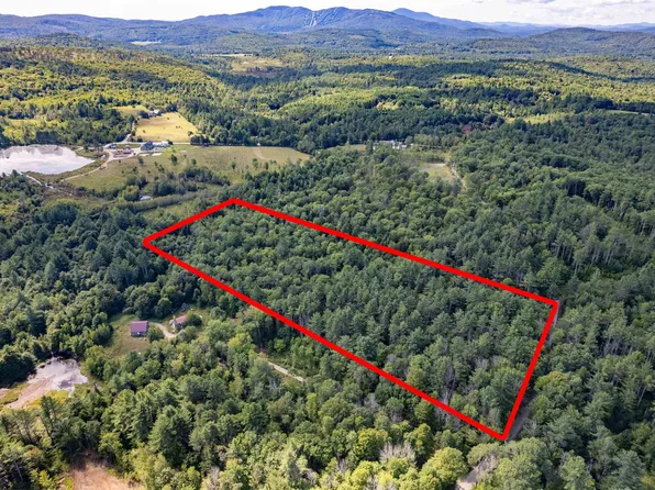 115 Forbes Mountain Road #3, Danbury, NH 03230