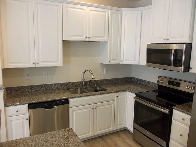 7411 Red Mulberry Way #1076D — Photo 9