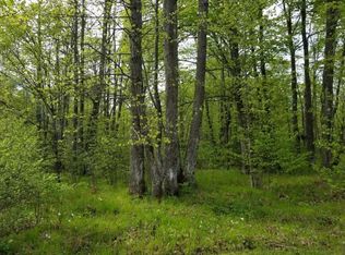 1094 Nicolet Shores Ln, Phelps, WI 54554
