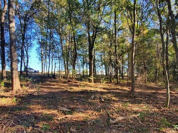5th image of 0 County Road 3319 Lot 6
