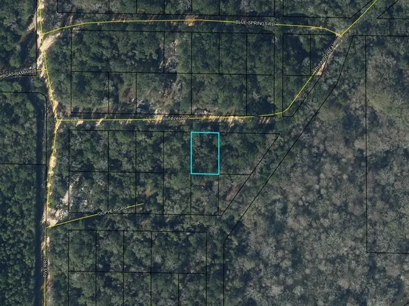 0 Bunny Hop Rd, Bonifay, FL 32425