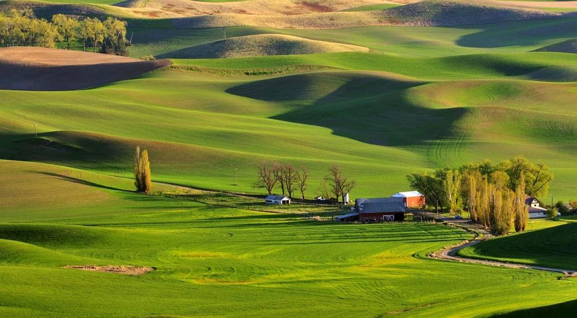 3725 E Keevy Rd, Spangle, WA 99031 Zillow