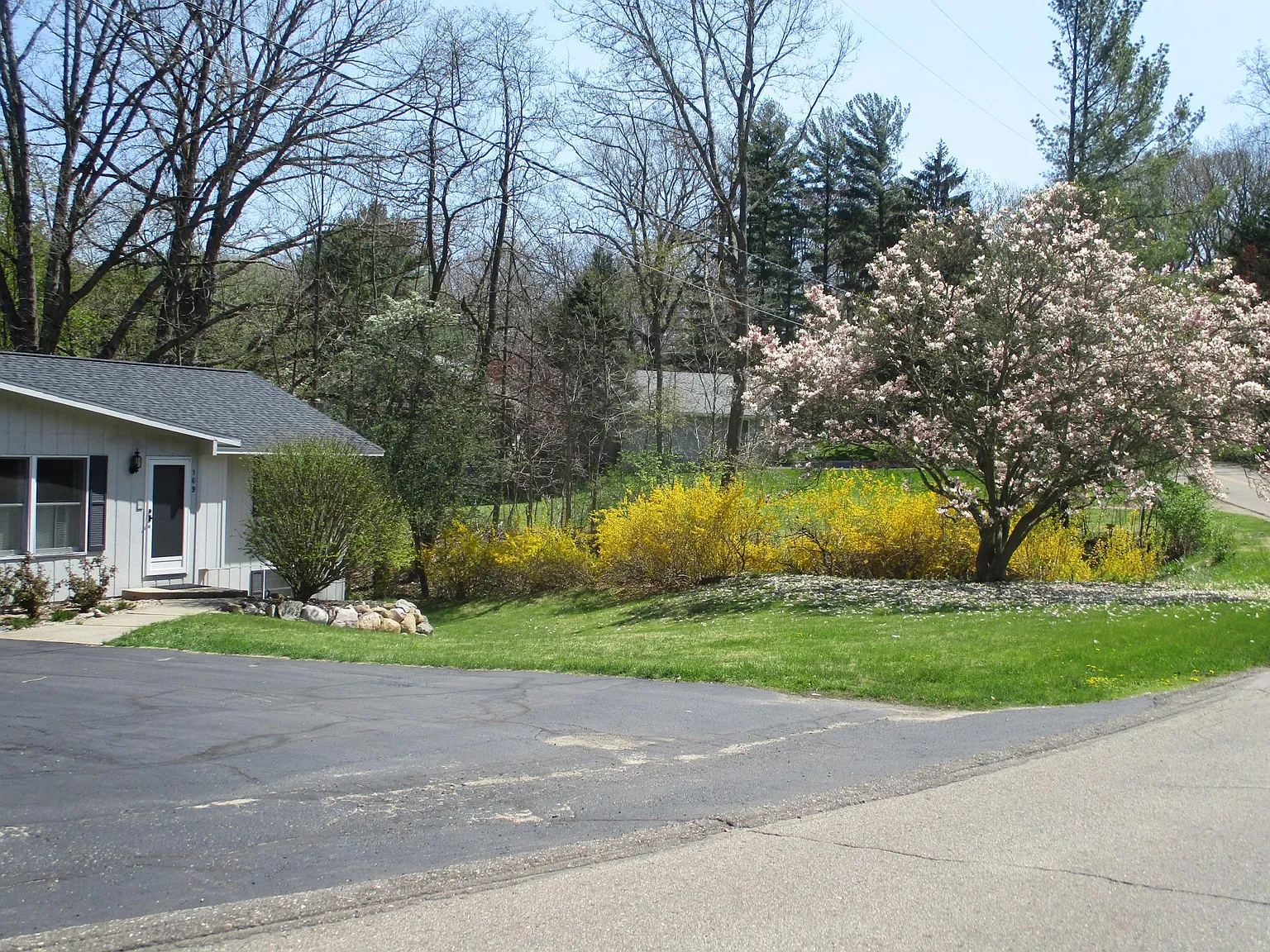 169 S Lake Doster Dr — Photo 3