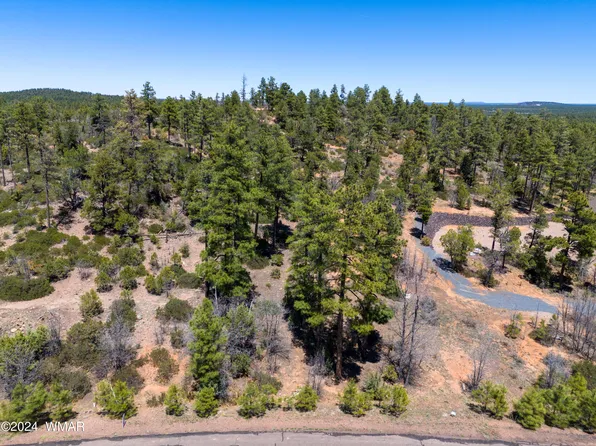 6007 Rim Rd, Lakeside, AZ 85929