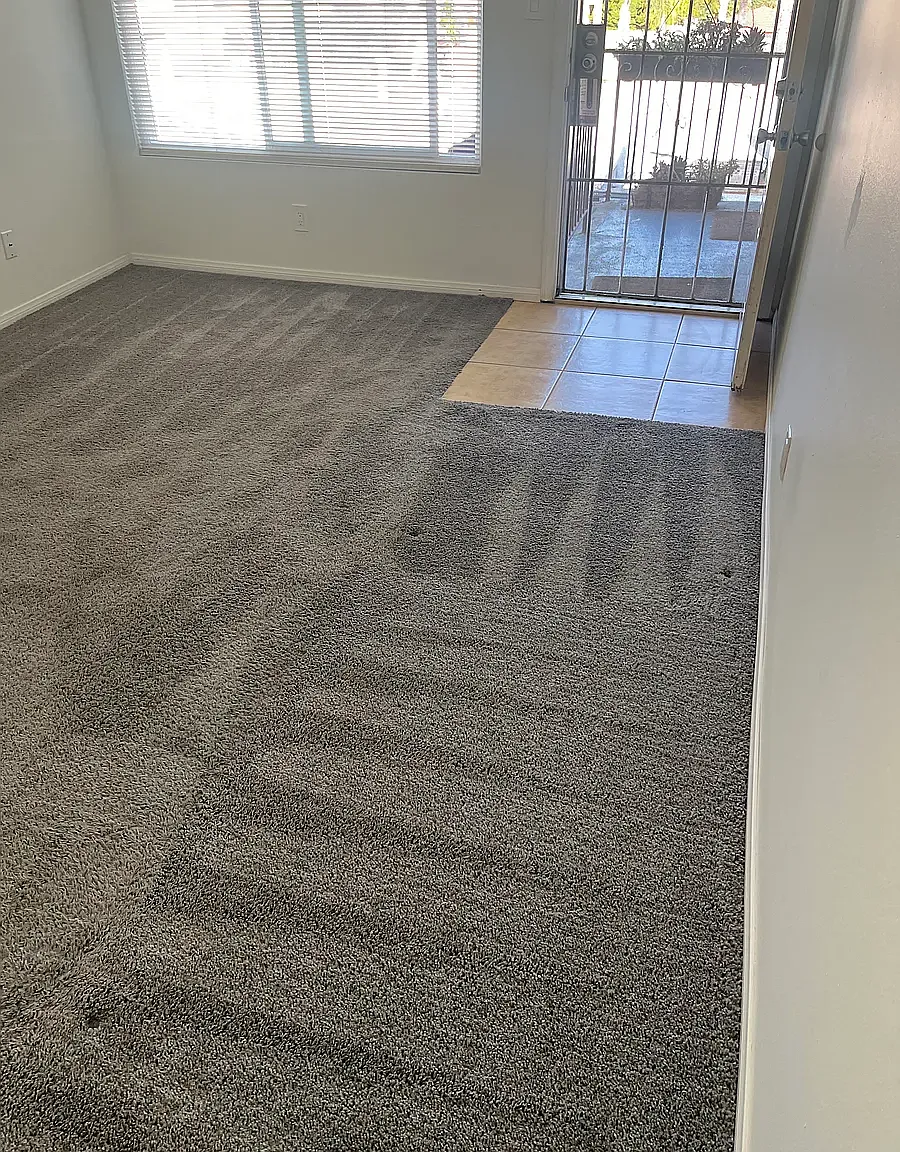 1 bed, 470 sqft, $2,000 — Photo 1
