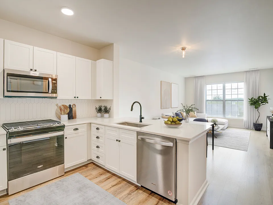 Sophisticated kitchen and living area