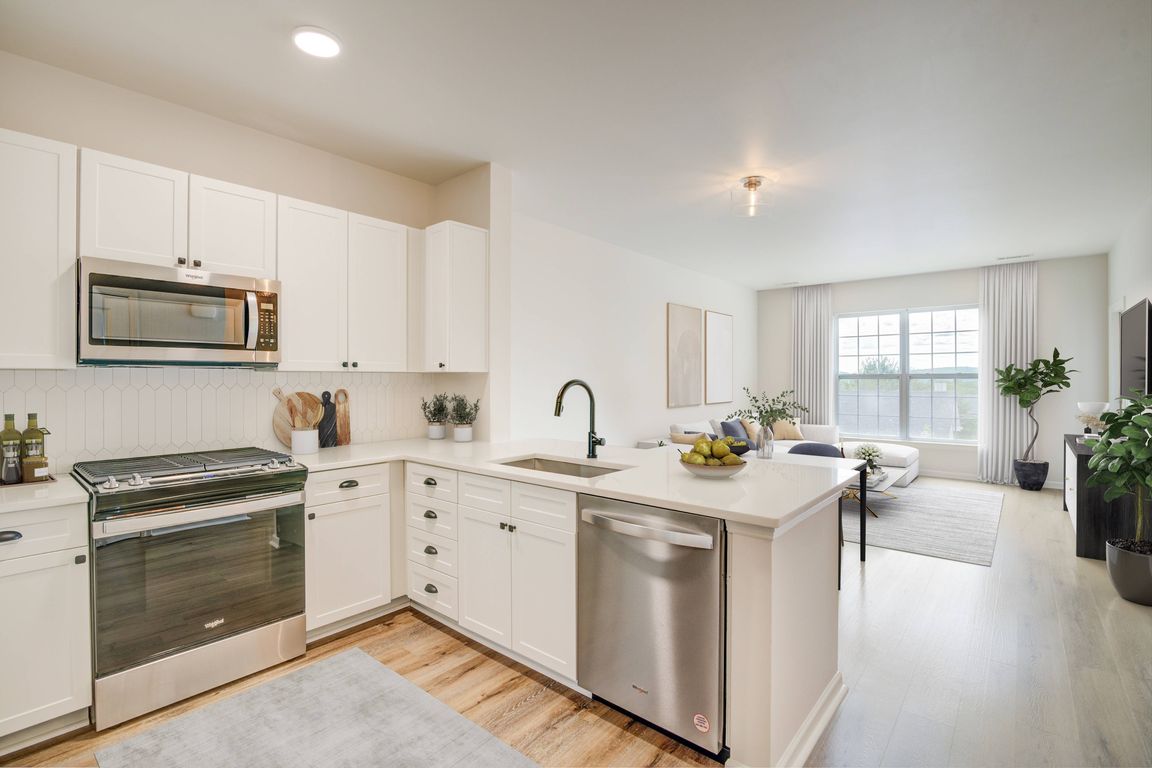 Sophisticated kitchen and living area