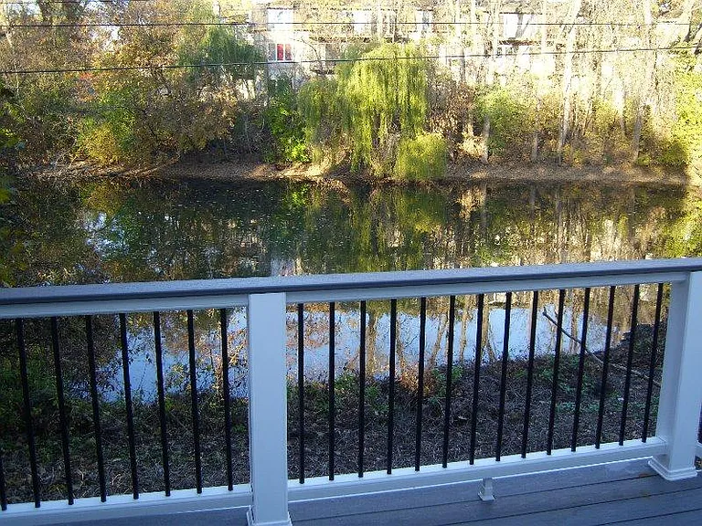 Overlooking the pond