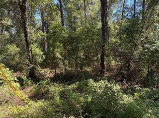 1228 Clover Ter LOT 31, Inverness, FL 34452