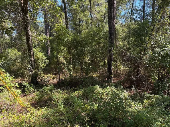 1228 Clover Ter Lot 31, Inverness, FL 34452