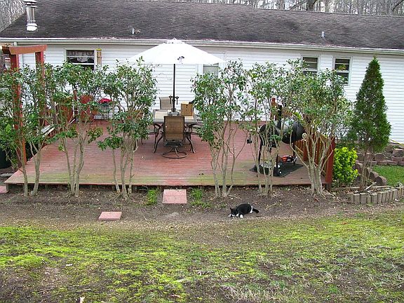 3rd image of 144 Hillview Dr NE