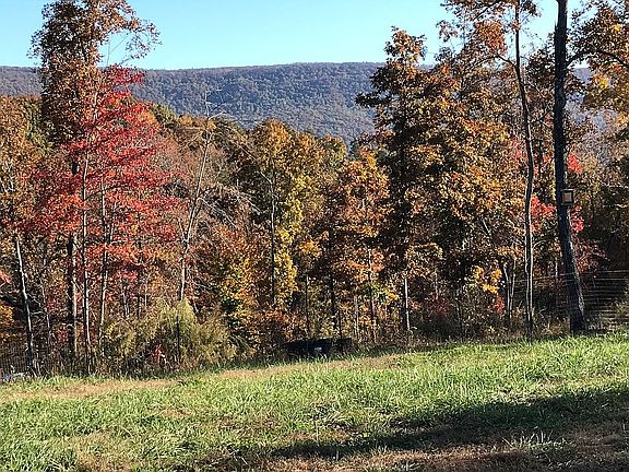 Grass and wooded