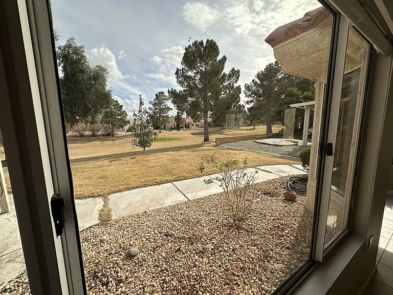 3032 Hidden Treasure Dr — Photo 100