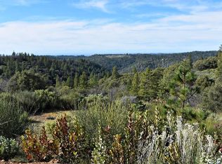 14745 Surrey Junction Ln, Sutter Creek, CA