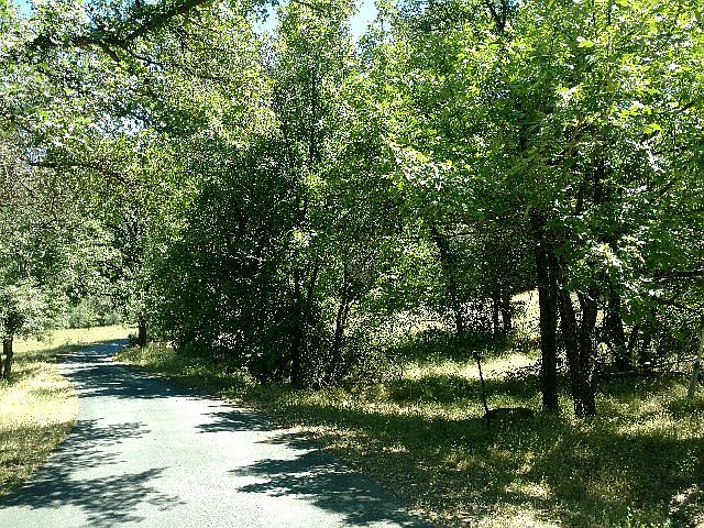 1st image of 1839 Apple Seed Ln