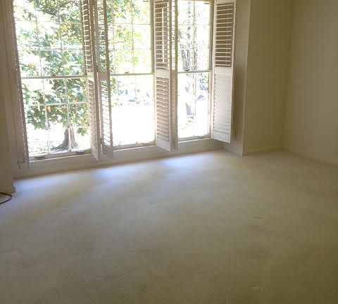 Bright main level second bedroom. All windows feature shutt