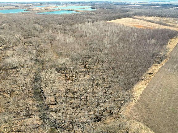 5th image of Briar Ridge Ln