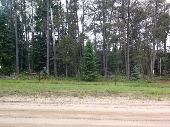 Shaw Park Rd, Grayling, MI 49738