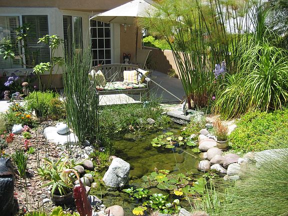 Pond