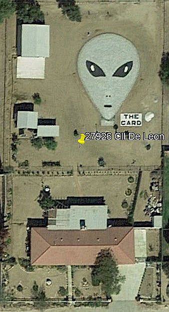 Backyard Alien Face