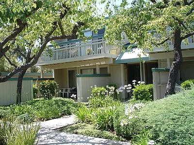 Live Oak Apartments — Photo 120