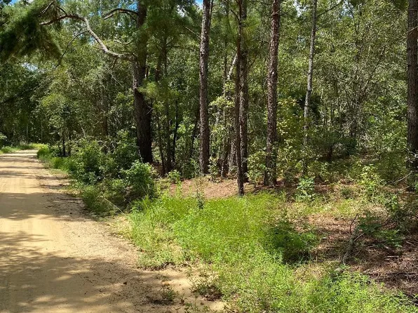 0 Mount Zion Church Rd, Garfield, GA 30425