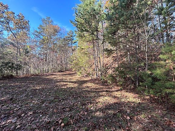 4th image of LOT 1 Sawyer Cove Hideaway
