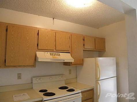 3rd image of 5100 Palm Hill Dr APT 209