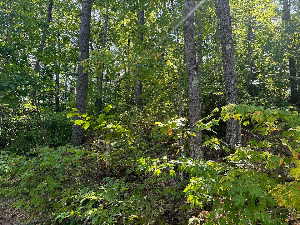 2nd image of Lot 8 Fisher Drive