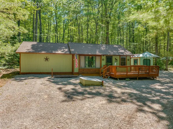 371 Dyer Rd, Rose City, MI 48654