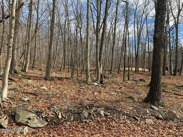 2nd image of 575 Owl Pass Rd