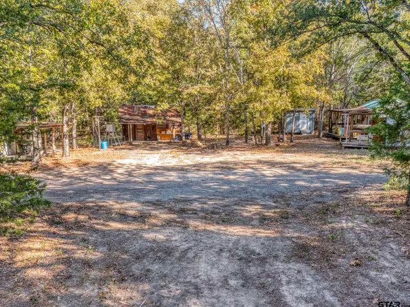 0 Vz County Road 4609, Ben Wheeler, TX 75754