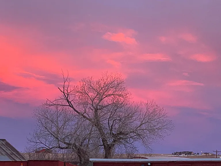 The sunrises are spectacular on the plains especially where everyone has 40 acres or more.