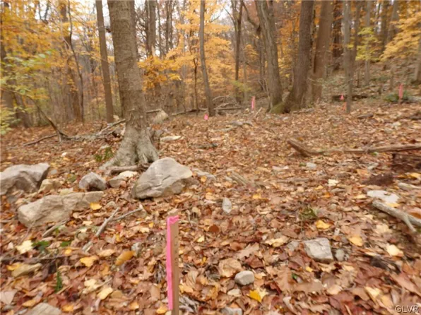 Dogwood Ln, Riegelsville, PA 18077