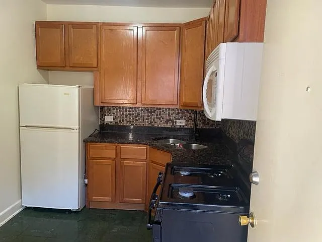 4926 N Kedzie Ave #3S — Photo 9