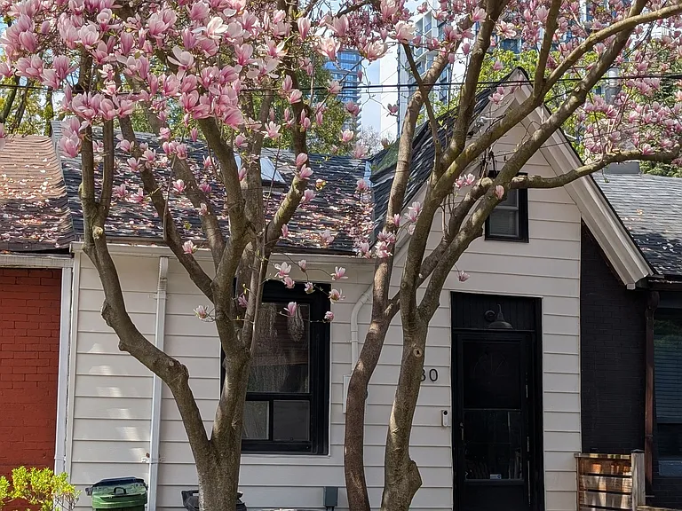 230 Ontario St — Photo 1