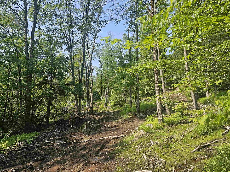 2nd image of 0 Stones Mill Road