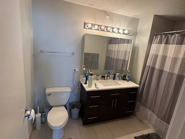 545 N Dearborn St #1307 — Photo 12