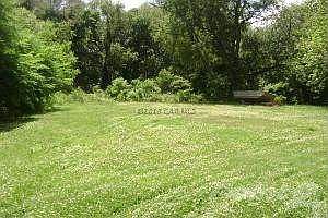 Rear Yard