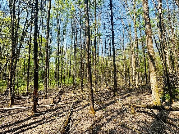 4th image of Dog Hollow Rd Lot 1
