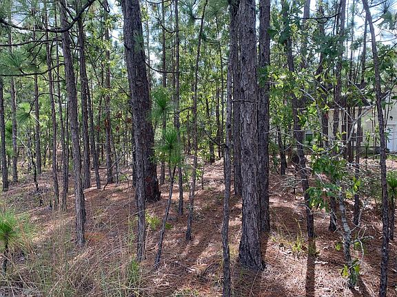 2nd image of Lot 2 Shelby Road LOT 2