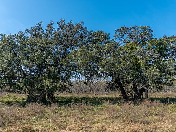 Large Trees and Homesites Available For Sale with Owner Financing in Comanche County Land