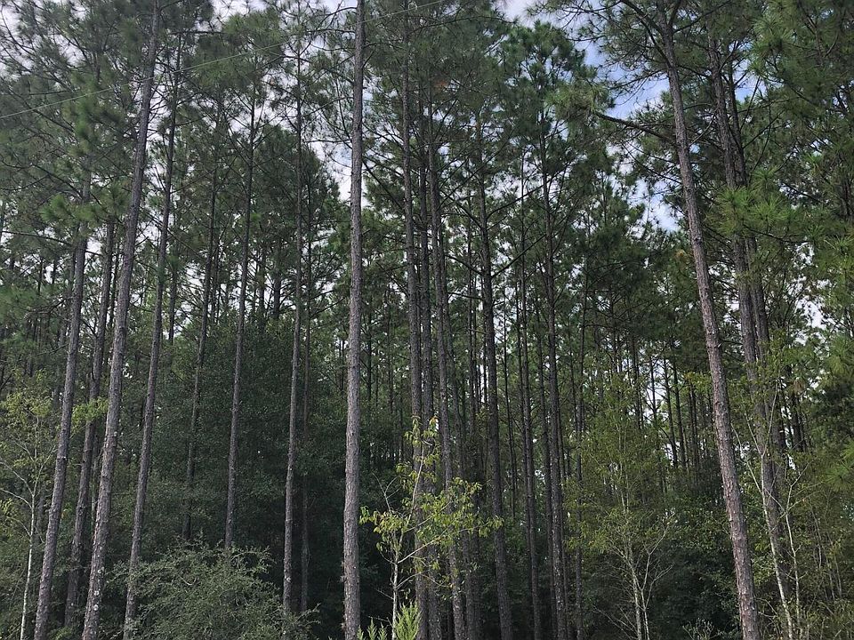 2nd image of 0 Burns Rd