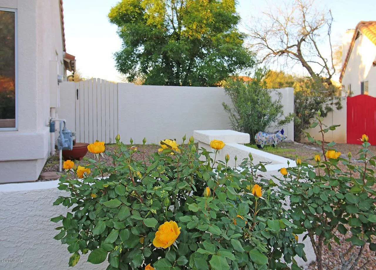 818 E Prickly Poppy Dr — Photo 4