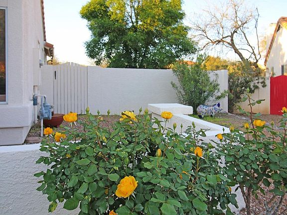 4th image of 818 E Prickly Poppy Dr